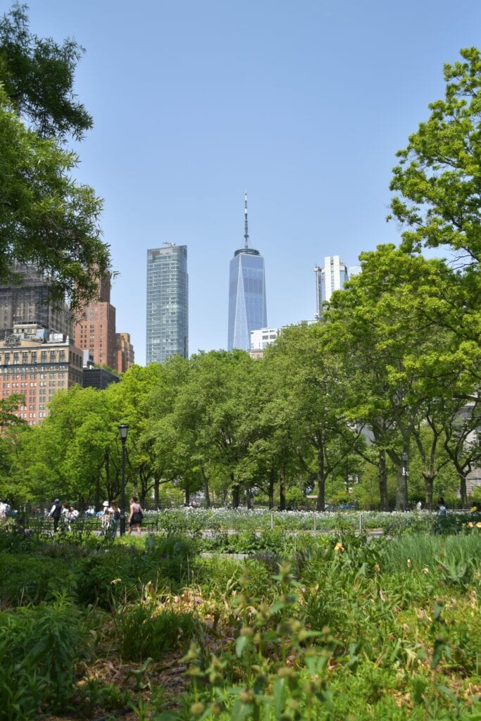 Tall buildings rise behind lush green trees and a park garden under a clear blue sky, capturing the iconic beauty of parks in New York.
