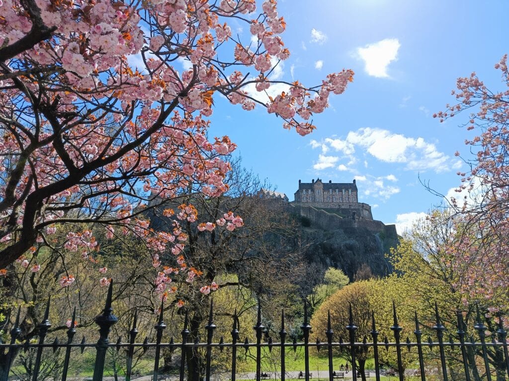 Spring time edinburgh castle at the top  of the hill