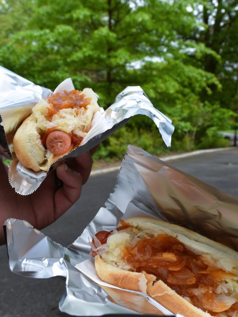 Two hands holding hot dogs with sauerkraut and onions, wrapped in foil—food you need to try in New York—outdoors with trees in the background.