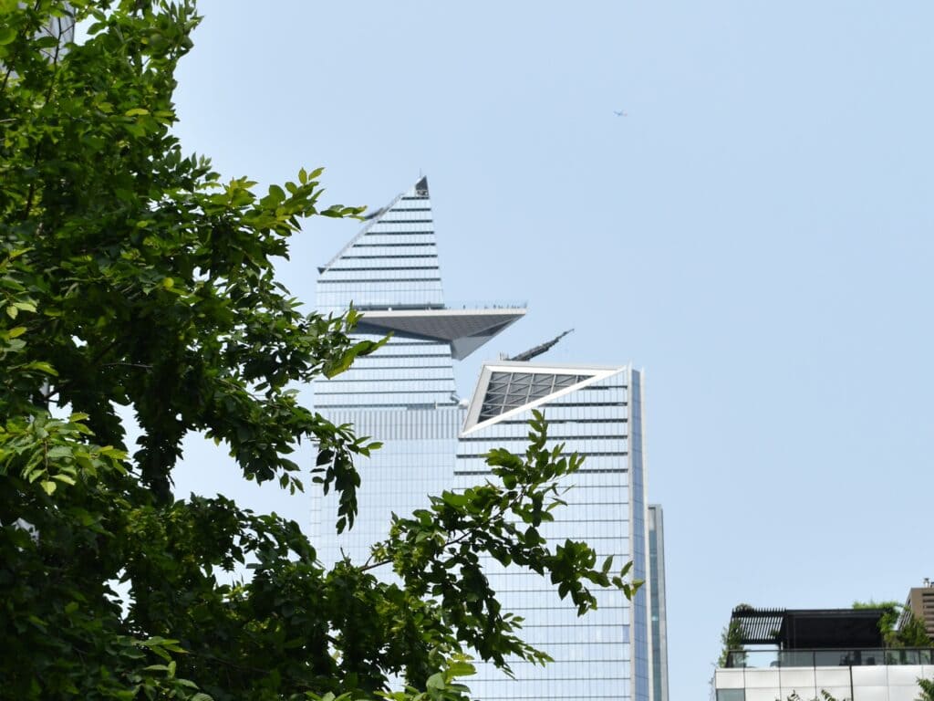 Two modern glass skyscrapers, offering some of the best skyviews in New York, are partially obscured by leafy green tree branches against a clear sky.