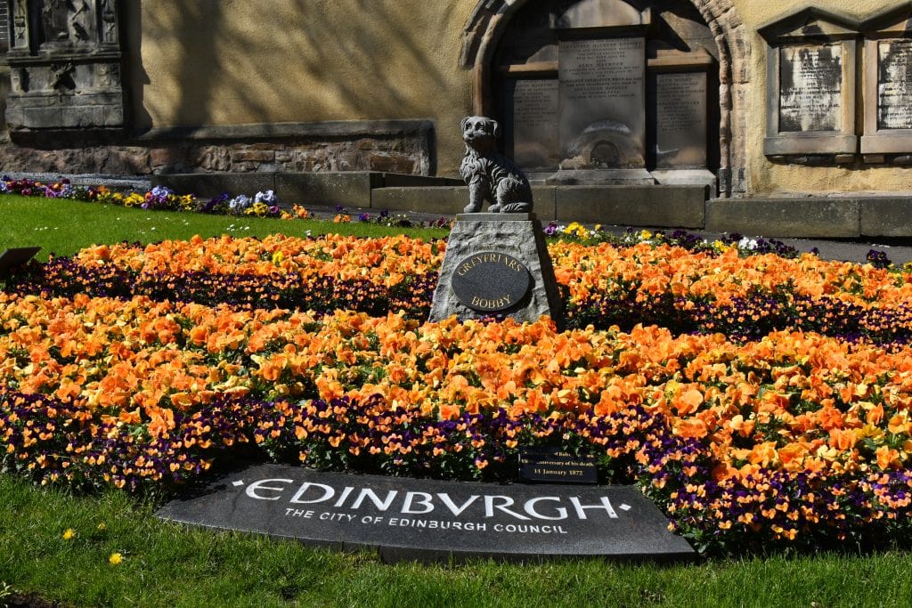 A statue of a dog surrounded by orange flowers at the Greyfriars Bobby memorial—one of the best attractions Edinburgh has to offer.