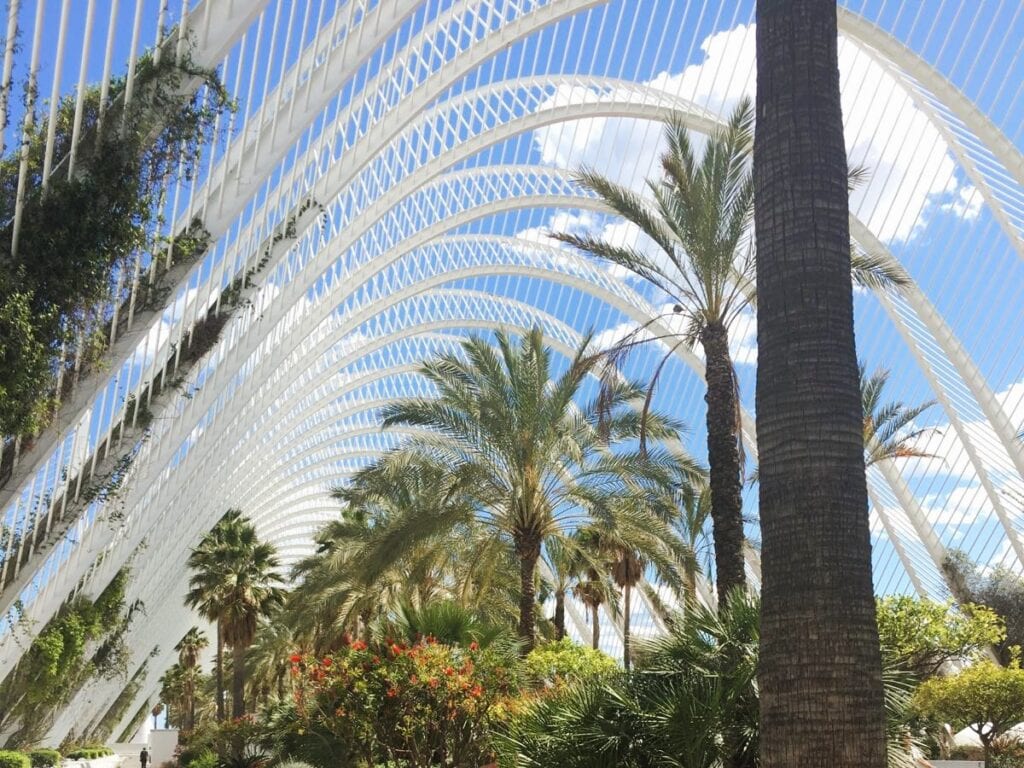 Arched white metal structure at the Ciutat de les Arts i les Ciències, with palm trees and plants underneath, set against a blue sky with clouds.