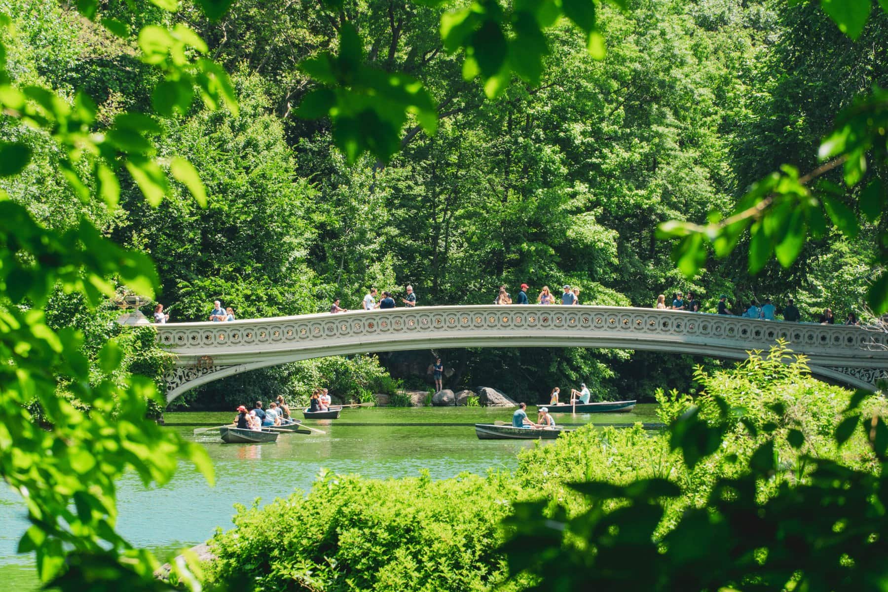 A bridge over a pond in central park with people in canoes.