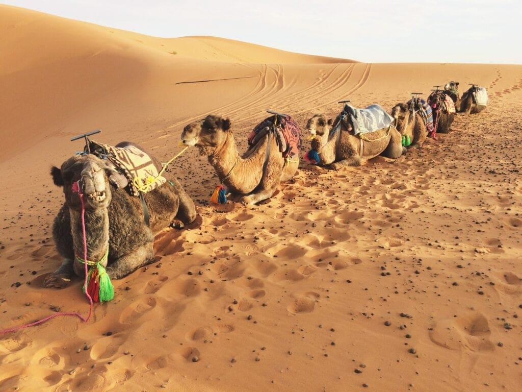 Sahara trip from Marrakesh