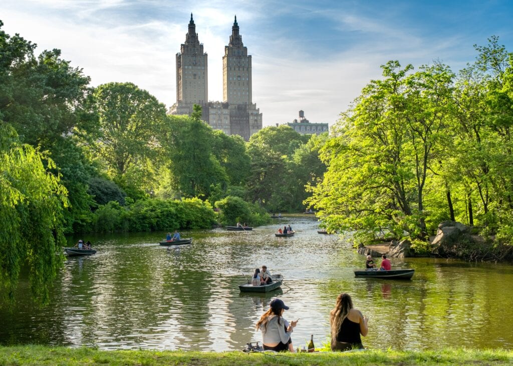 A river in central park.