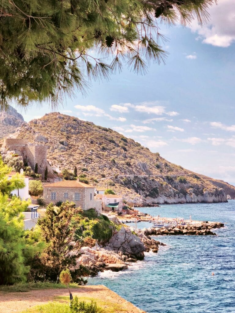 A view of a beach with trees and a view of the sea.