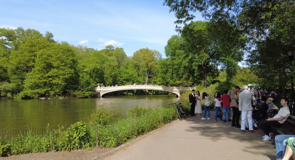 People gather by a lakeside path near a white arched bridge surrounded by lush green trees under a blue sky—just another beautiful day when you visit Central Park in New York.
