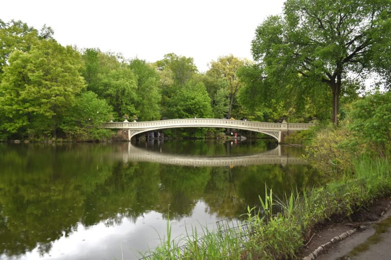 A white arched bridge spans a calm, tree-lined lake in Central Park, New York, with lush green foliage reflected in the water. Visit Central Park in New York to experience this serene beauty first-hand.