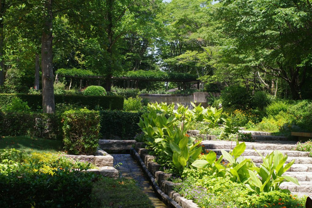 A lush garden with stone steps, green plants, and a narrow stream under bright sunlight—one of the best attractions in Central Park.