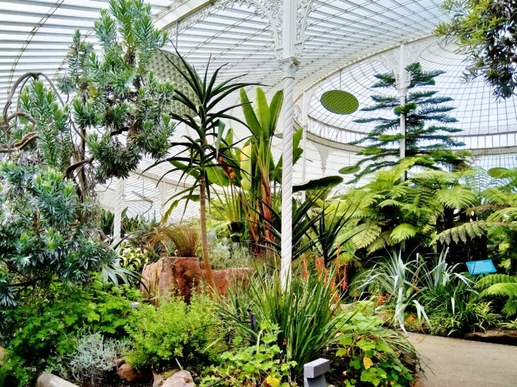 Glasgow Botanic Gardens, a large greenhouse filled with plants and trees.