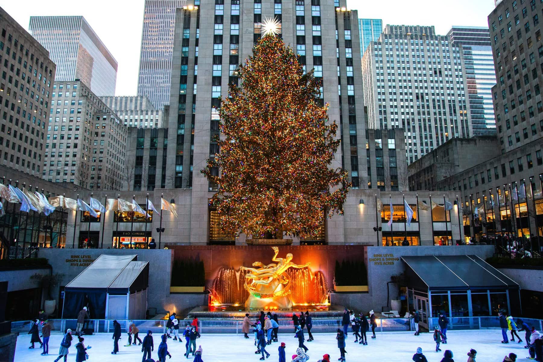 Experience the enchanting spirit of Christmas in New York City with the iconic Rockefeller Center Christmas Tree.