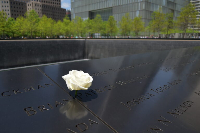 A white rose placed on inscribed names at a memorial site during a walking tour, with trees and buildings in the background.