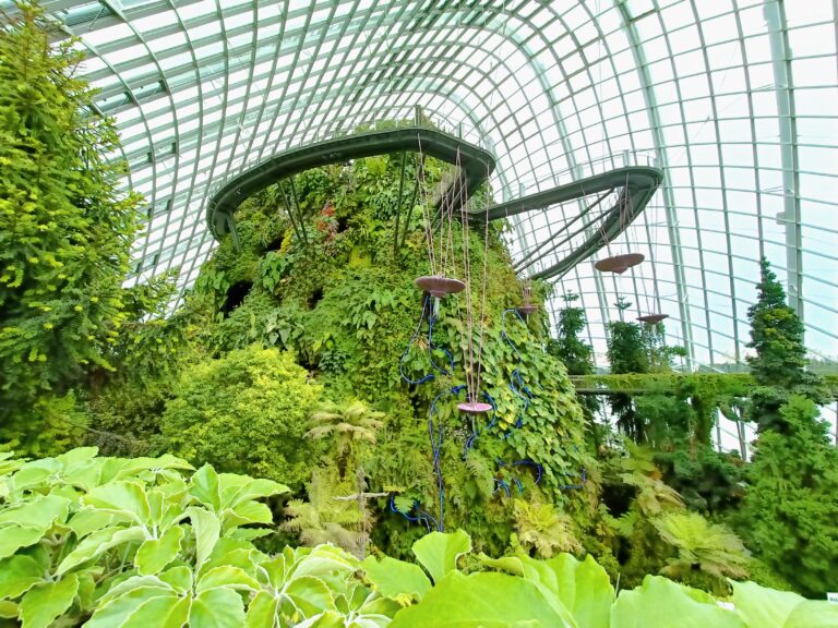 Explore an indoor garden reminiscent of the Cloud Forest and Flower Dome in Singapore, with lush greenery under a glass dome. It features hanging plants and vertical foliage displays, creating a serene oasis that connects you with nature's beauty.