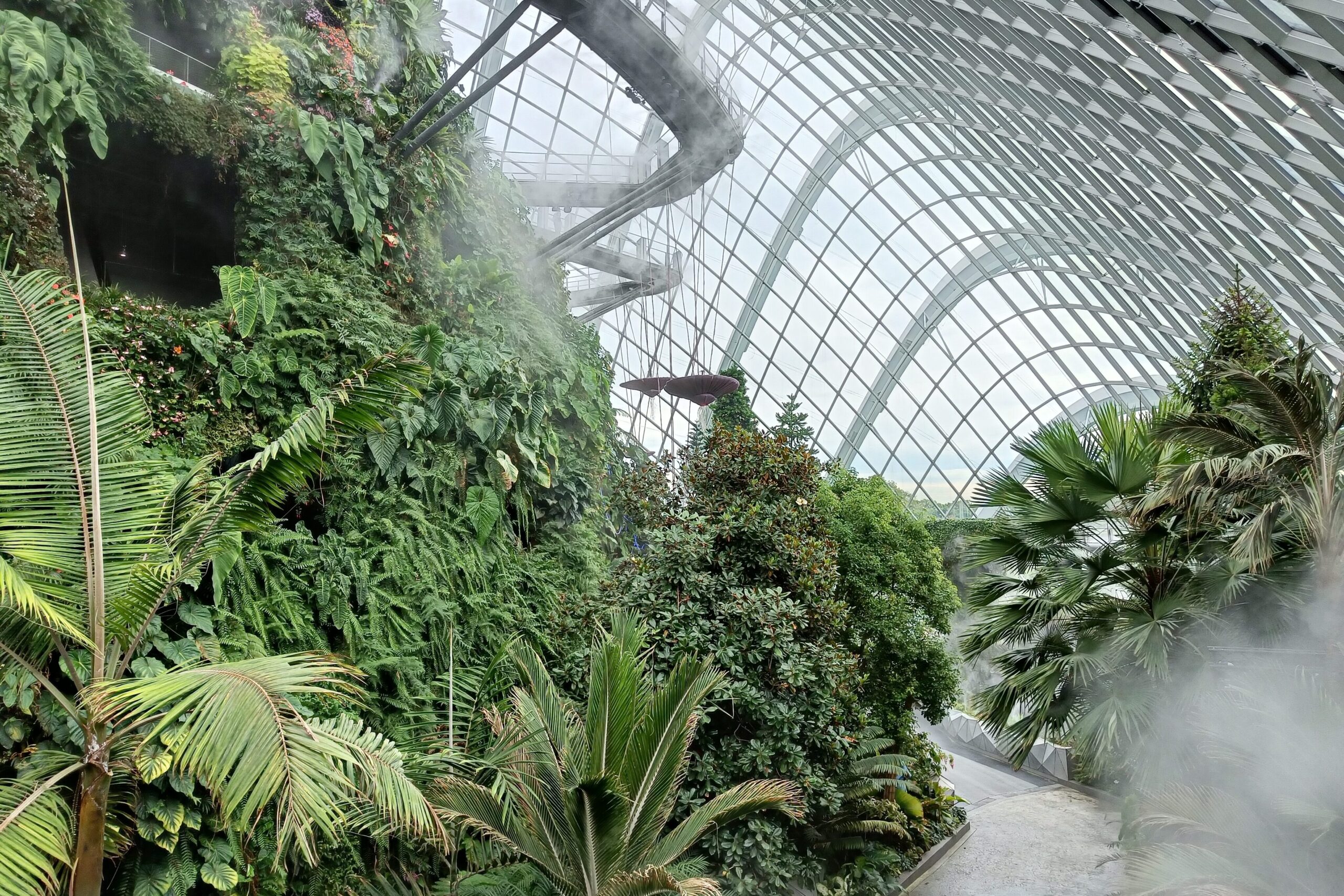 Lush indoor garden with tall, mist-covered green walls under a glass ceiling, reminiscent of Singapore's Cloud Forest.