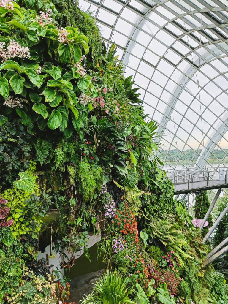 A lush vertical garden inside a large glass glasshouse, with a curving walkway in the background, showcases one of the best things to do in Singapore.