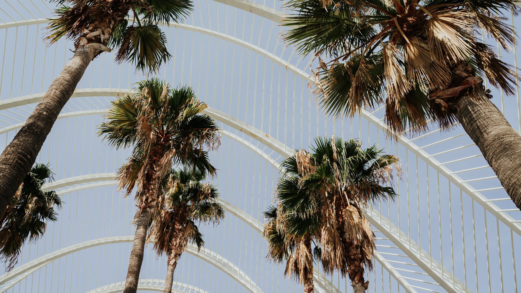  Umbracle Garden is a beautiful urban oasis located within the Ciutat de les Arts i les Ciències 