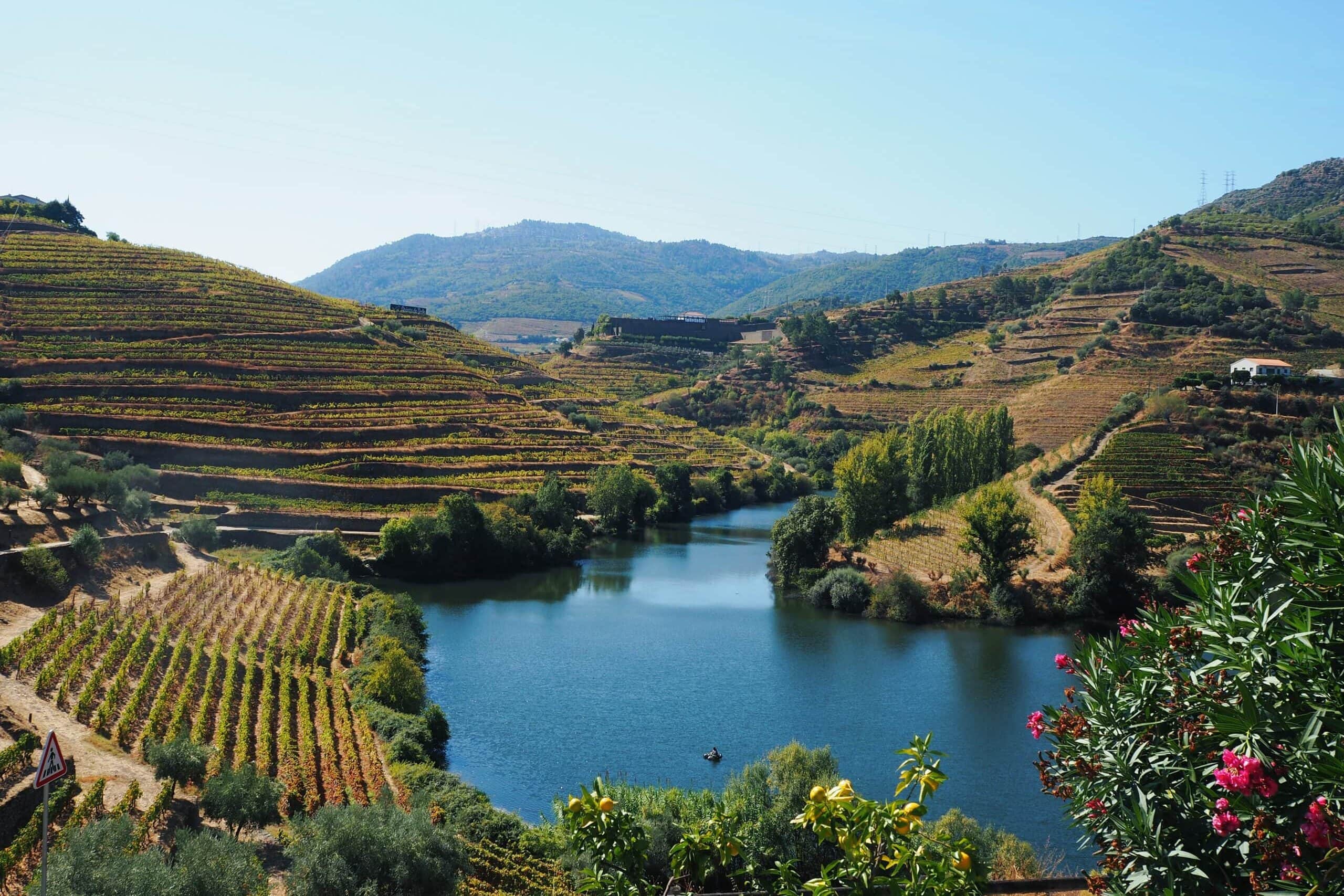 River winding through terraced hillsides with green vineyards under a clear blue sky—a scene often featured among popular attractions in Porto.