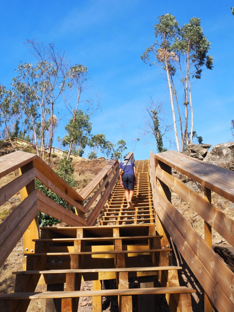 Person walking up a wooden outdoor staircase surrounded by dry trees on a sunny day, capturing the serene beauty often found on the Best Day Trips from Porto.