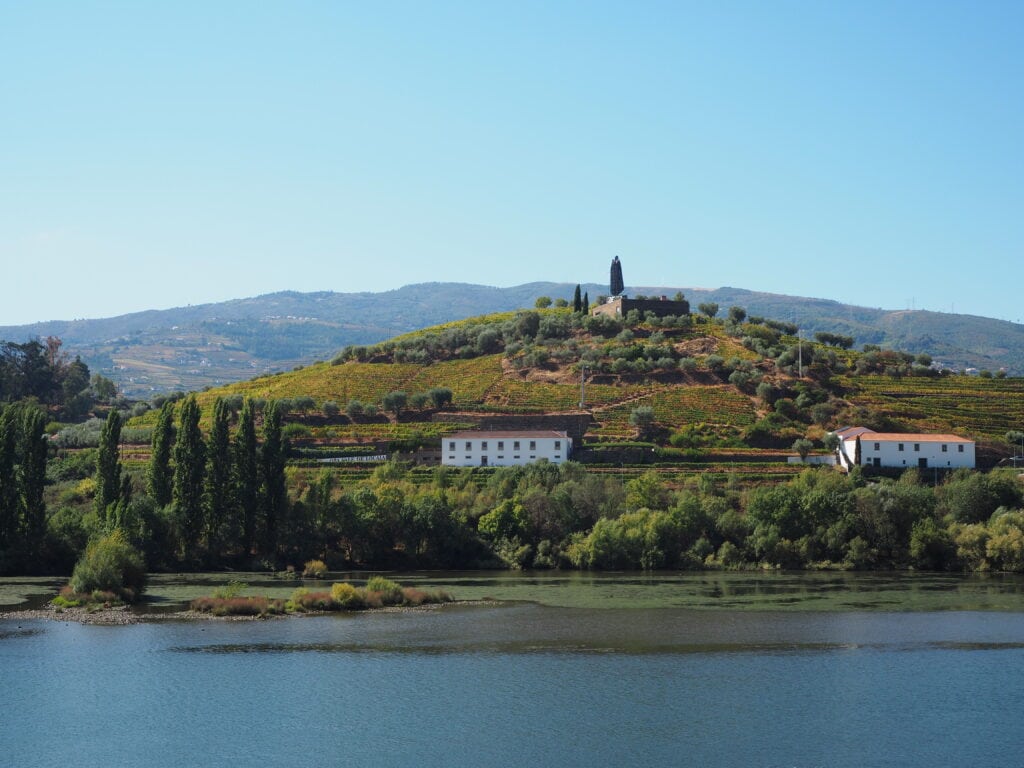 A vineyard on a hill with buildings, trees, and a river in the foreground under a blue sky evokes the scenic beauty often found near Tips Porto, blending nature’s tranquillity with charming architecture.