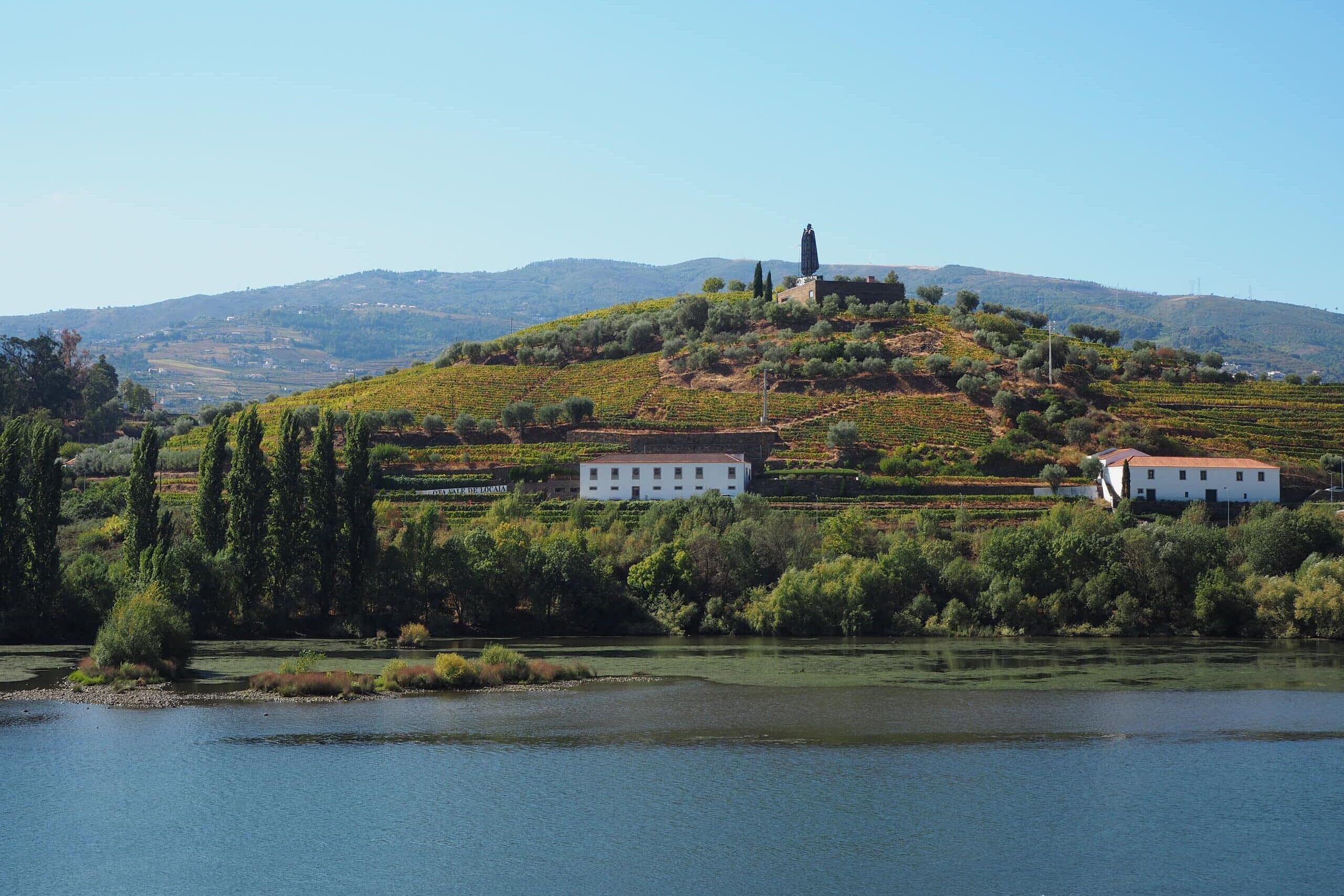 Hillside vineyard with scattered buildings and a church, overlooking a river under a clear blue sky—one of the Best Day Trips from Porto for breathtaking scenery and relaxation.