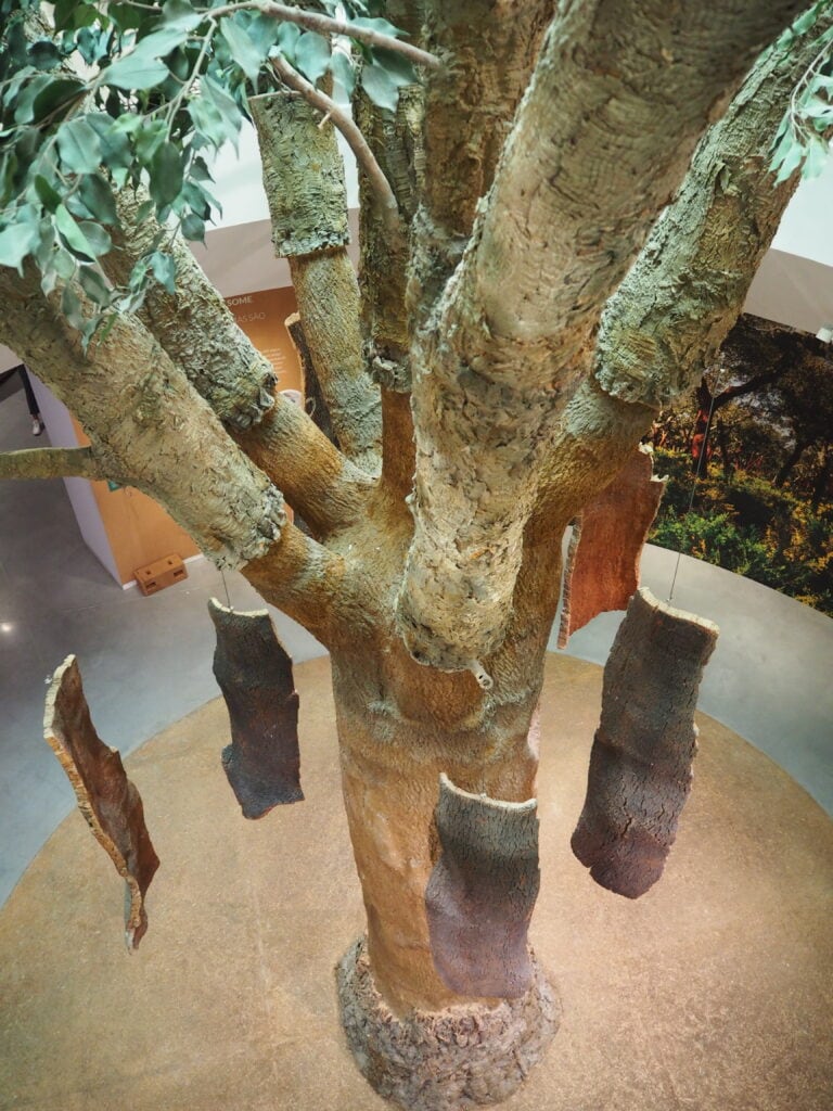 A tree with pieces of bark hanging from its branches, displayed indoors on a circular platform, evokes the natural essence found at World of Wine Porto.
