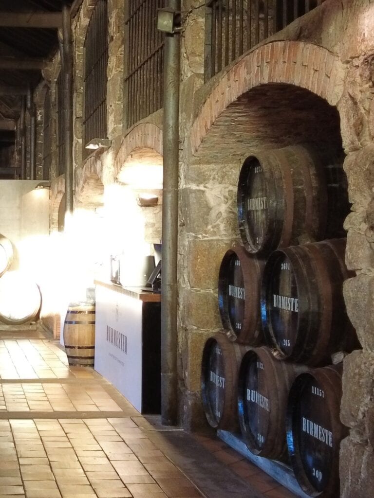 Stacked wooden wine barrels labelled "Burmester" in a rustic stone wine cellar with arched alcoves—an authentic scene you might discover during one day in Porto.